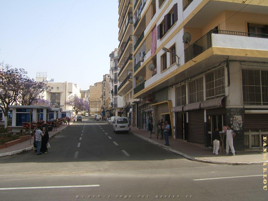 oran 281.jpg